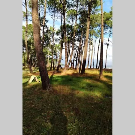 Agreable Domaine Du Golf Piscine Chauffee *